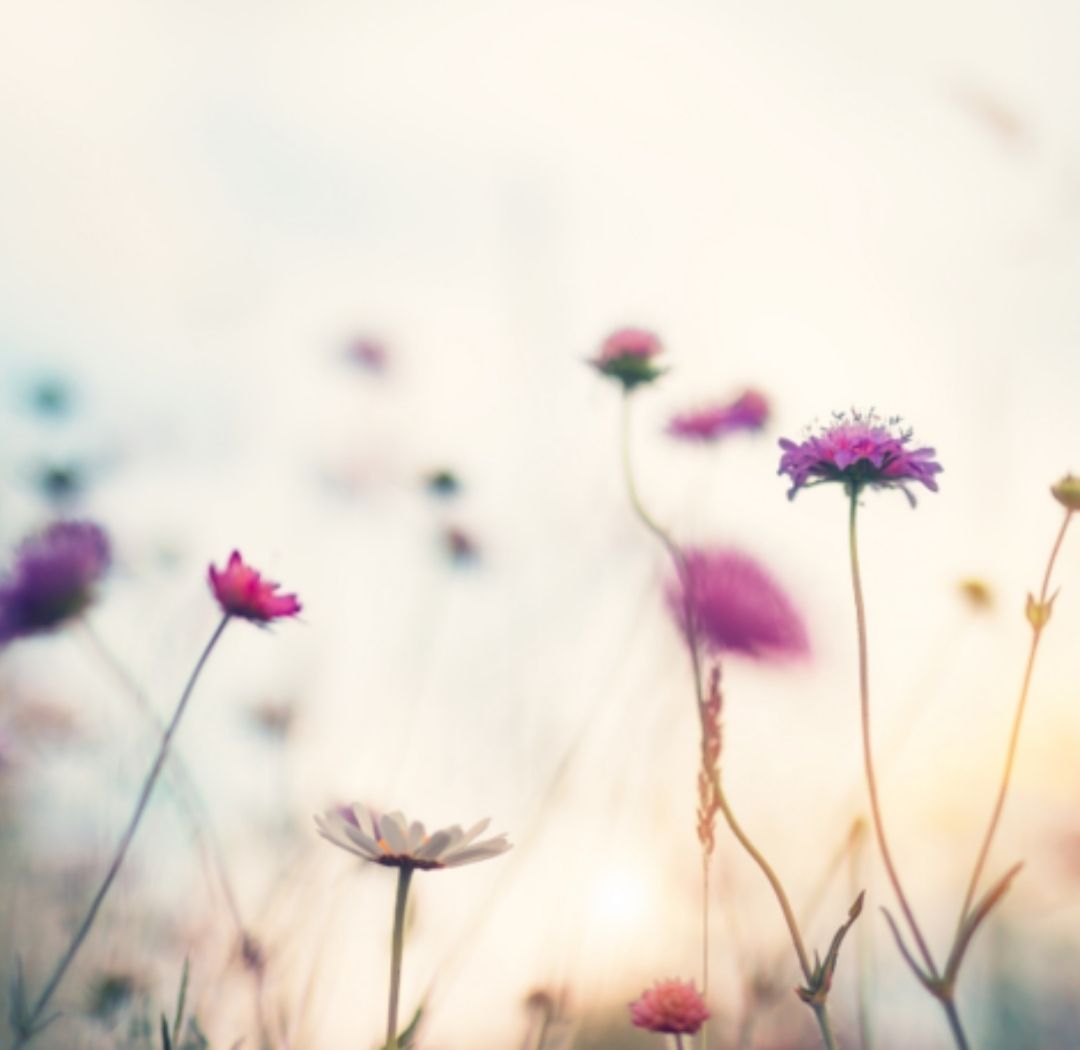 Bliss