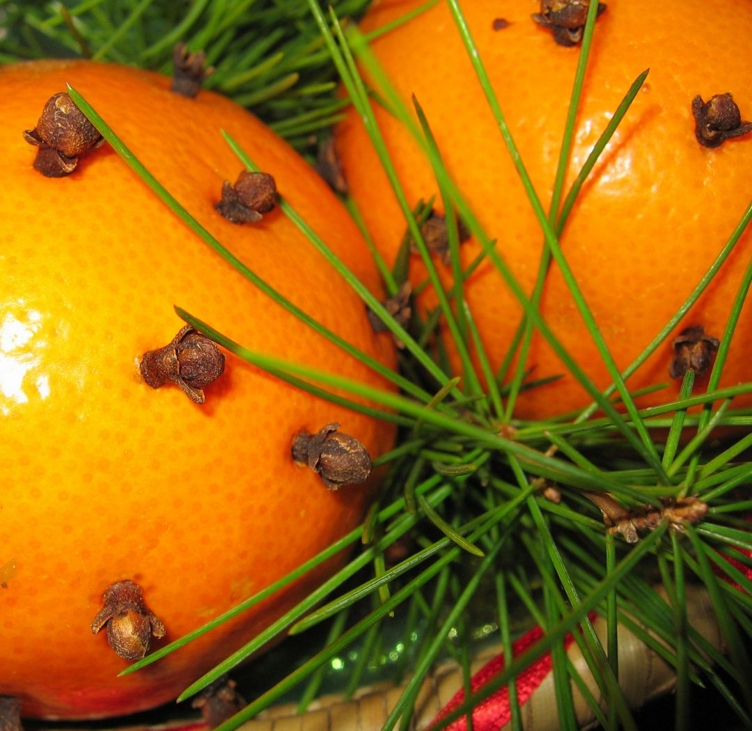 Clove, Orange and Cedar Leaf