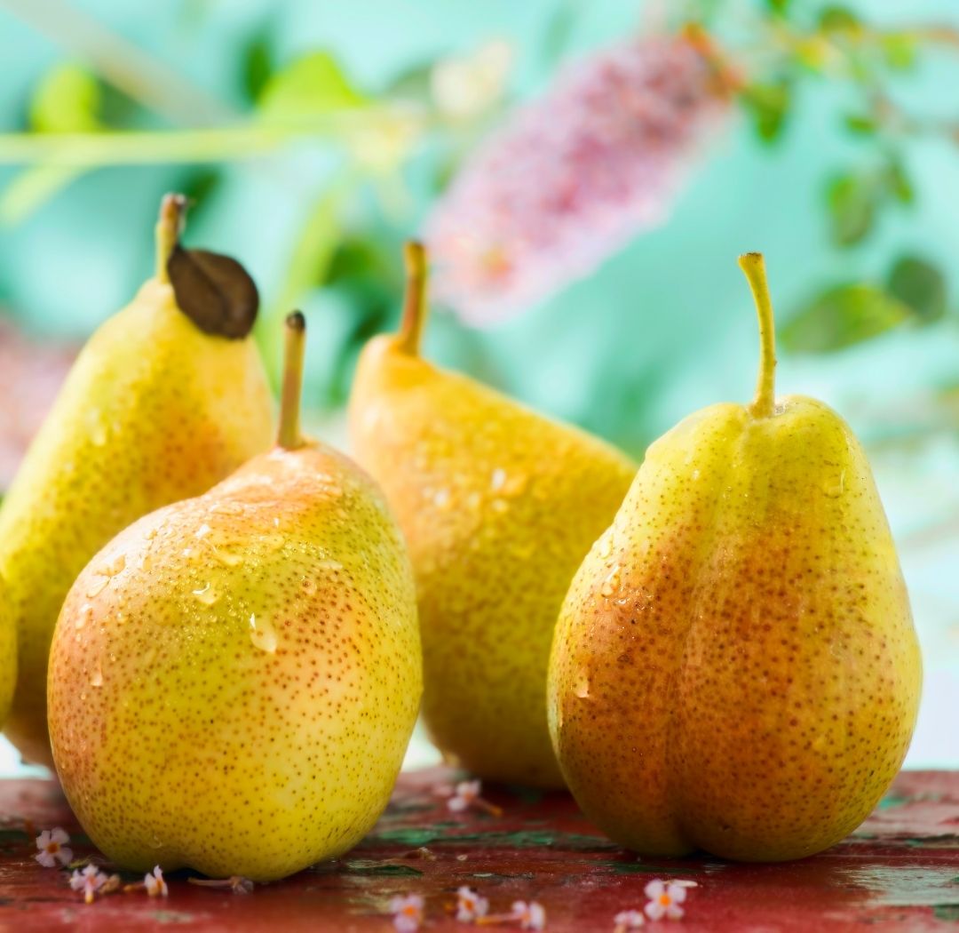 French Pear