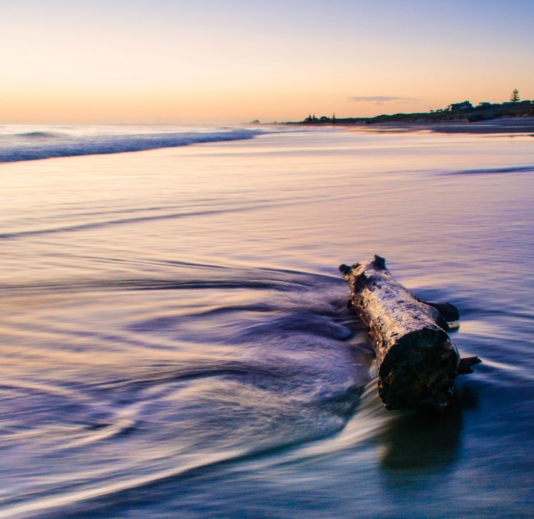 Sea-salt and Driftwood