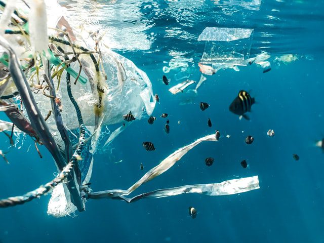 Stop 45kg of plastic